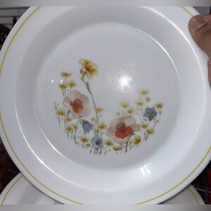 Set of 7- Arcopal ARC Provincial Milk Glass 10” Dinner Plates. France.
